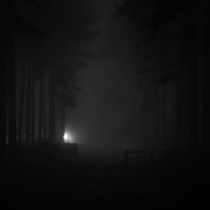 The Sound of Silence