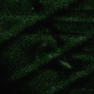 Reflections of the Future