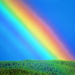 End of the Rainbow