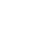 Incognito